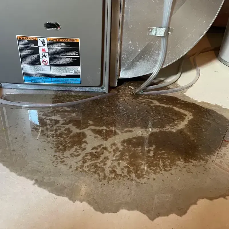 Appliance Leak Cleanup in Saint Jo, TX